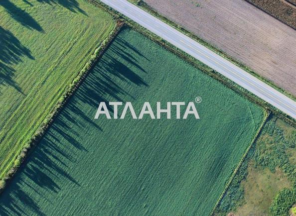 Ділянка за адресою (площа 210 сот) - Atlanta.ua - фото 4