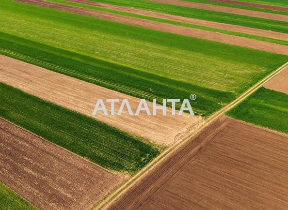 Ділянка за адресою (площа 210 сот) - Atlanta.ua - фото 5