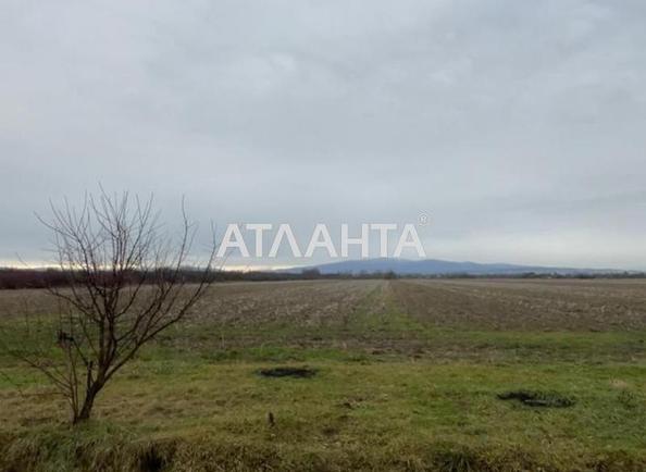 Участок по адресу (площадь 210 сот) - Atlanta.ua - фото 3