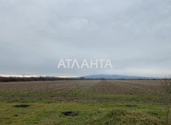 Участок по адресу (площадь 210 сот) - Atlanta.ua - фото 4