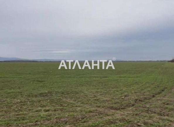 Участок по адресу (площадь 210 сот) - Atlanta.ua - фото 5