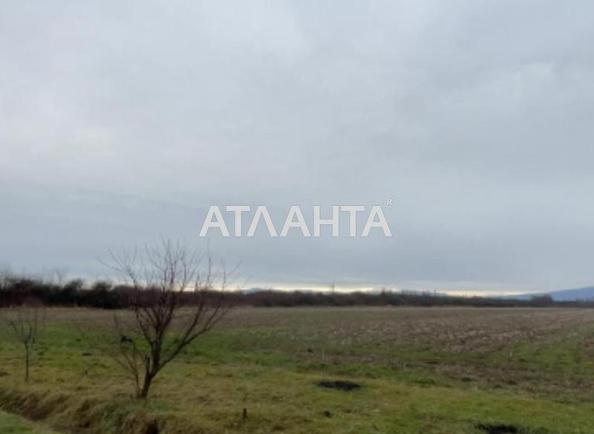 Участок по адресу (площадь 210 сот) - Atlanta.ua - фото 6