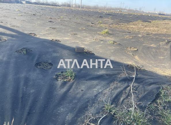 Участок (площадь 9,8 сот) - Atlanta.ua - фото 5