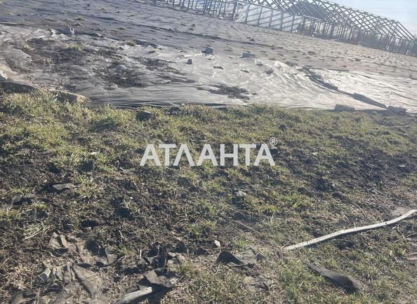 Участок (площадь 9,8 сот) - Atlanta.ua - фото 4