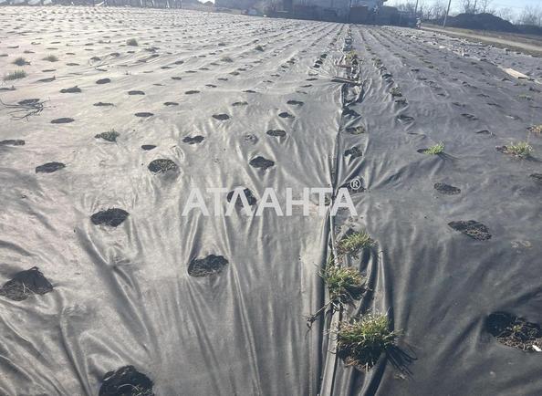 Участок (площадь 9,8 сот) - Atlanta.ua