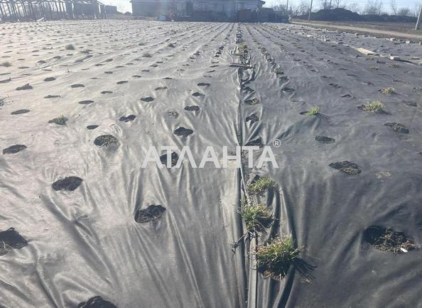 Участок (площадь 9,8 сот) - Atlanta.ua - фото 3