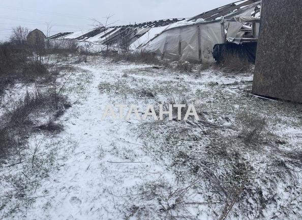 Участок (площадь 9 сот) - Atlanta.ua