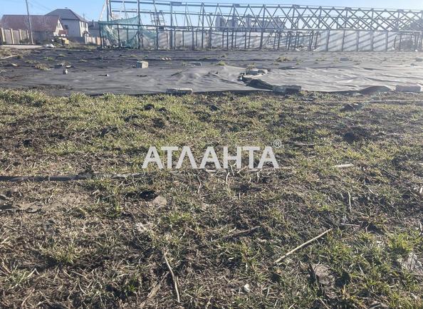 Участок (площадь 9 сот) - Atlanta.ua - фото 5