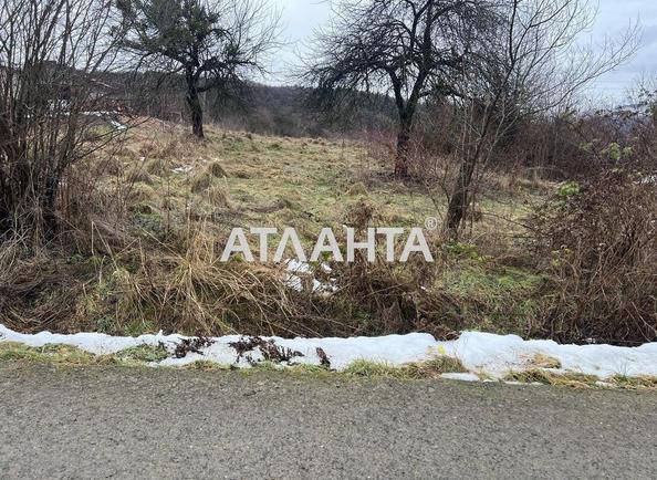 Участок по адресу (площадь 25 сот) - Atlanta.ua - фото 2
