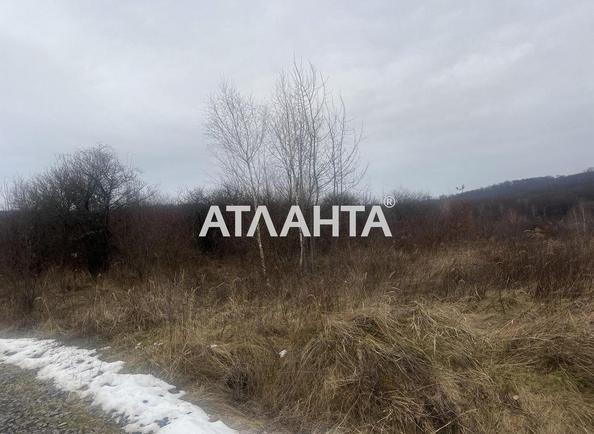 Ділянка за адресою (площа 10 сот) - Atlanta.ua - фото 2