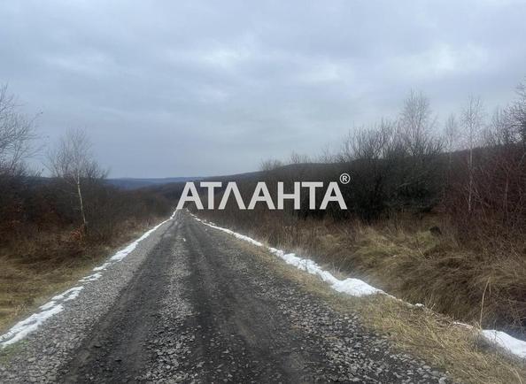 Ділянка за адресою (площа 30 сот) - Atlanta.ua - фото 4