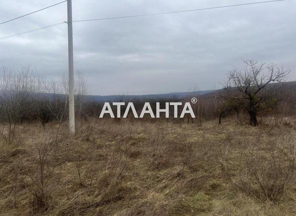 Ділянка за адресою (площа 30 сот) - Atlanta.ua - фото 5