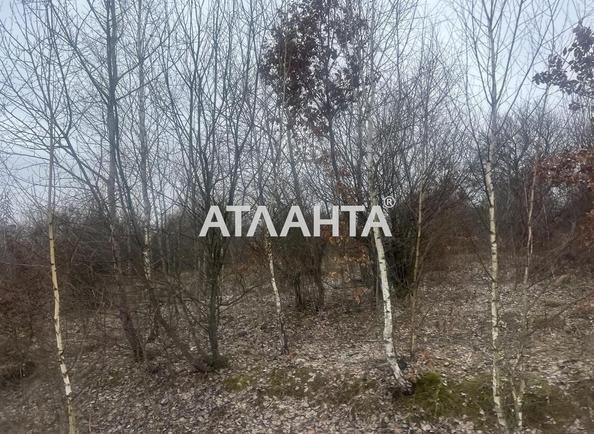Ділянка за адресою (площа 24 сот) - Atlanta.ua - фото 2