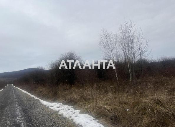 Ділянка за адресою (площа 24 сот) - Atlanta.ua - фото 3