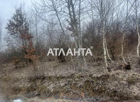 Ділянка за адресою (площа 24 сот) - Atlanta.ua - фото 4