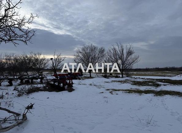 Ділянка (площа 25 сот) - Atlanta.ua