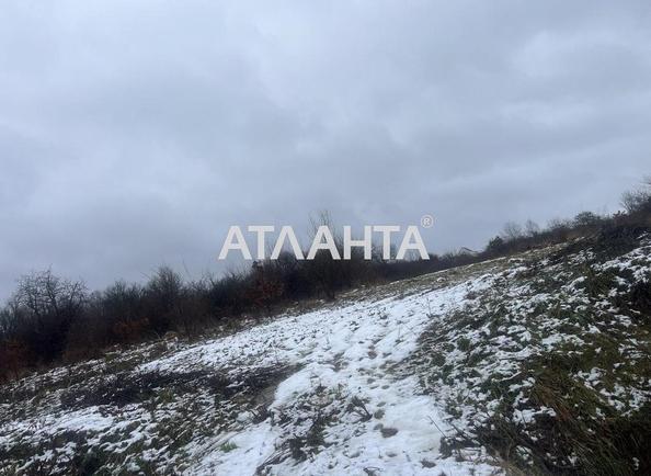 Ділянка за адресою (площа 25 сот) - Atlanta.ua - фото 4