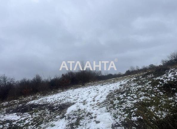 Ділянка за адресою (площа 25 сот) - Atlanta.ua - фото 5