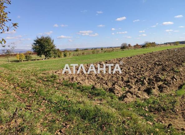 Ділянка за адресою вул. Колоскова (площа 0) - Atlanta.ua - фото 4