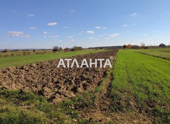 Ділянка за адресою вул. Колоскова (площа 0) - Atlanta.ua - фото 5