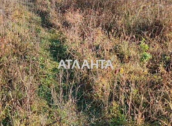 Ділянка за адресою (площа 30 сот) - Atlanta.ua