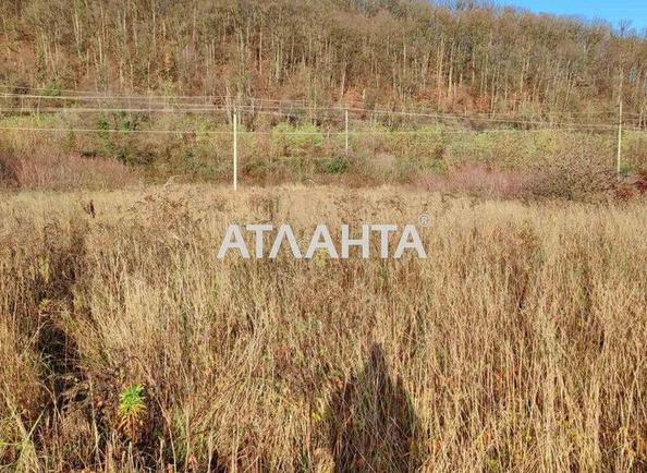Ділянка за адресою (площа 30 сот) - Atlanta.ua - фото 2
