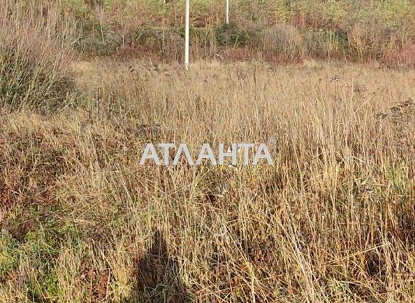 Ділянка за адресою (площа 30 сот) - Atlanta.ua - фото 3