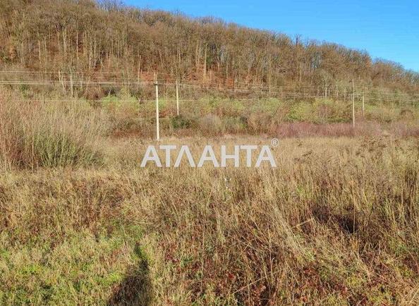 Ділянка за адресою (площа 30 сот) - Atlanta.ua - фото 5