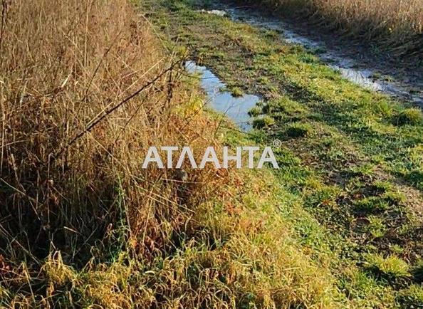 Ділянка за адресою (площа 30 сот) - Atlanta.ua - фото 6