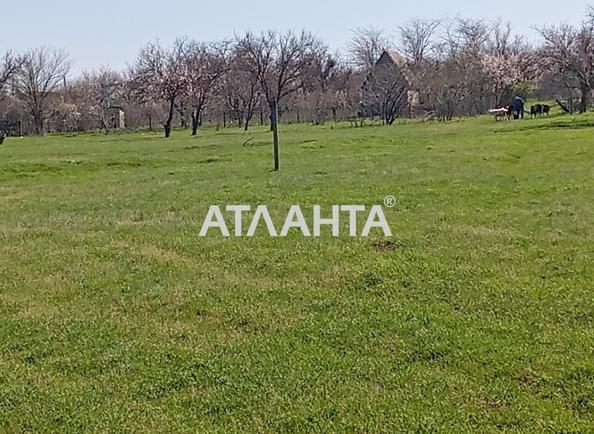 Участок по адресу (площадь 11,5 сот) - Atlanta.ua - imageAlt 3