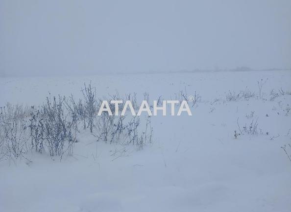 Ділянка за адресою (площа 550 сот) - Atlanta.ua - фото 4