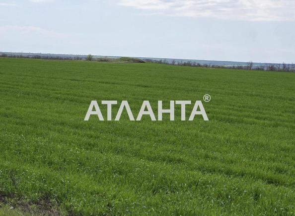 Участок (площадь 278 сот) - Atlanta.ua - imageAlt 6
