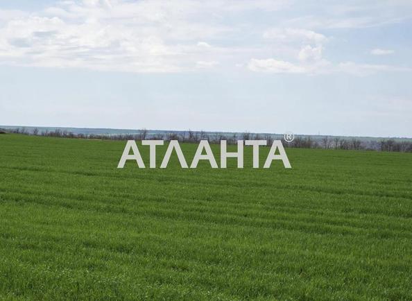 Участок (площадь 278 сот) - Atlanta.ua - imageAlt 7