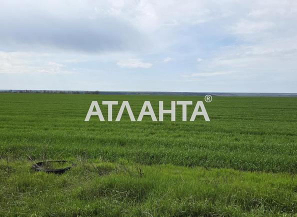 Участок (площадь 278 сот) - Atlanta.ua - imageAlt 13