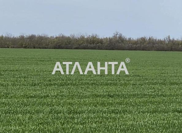 Участок (площадь 415 сот) - Atlanta.ua - imageAlt 9