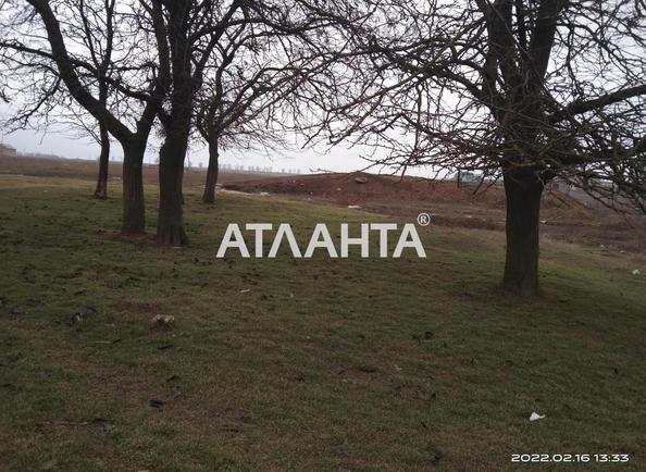 Участок (площадь 10 сот) - Atlanta.ua - фото 2