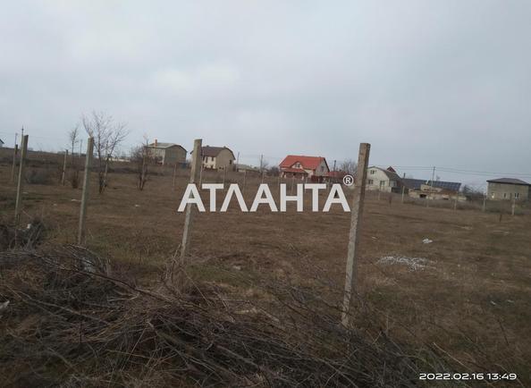 Участок (площадь 10 сот) - Atlanta.ua - фото 3