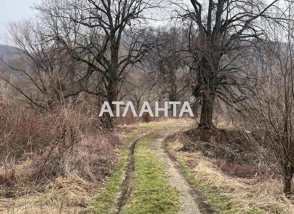 Участок по адресу (площадь 30 сот) - Atlanta.ua - фото 4