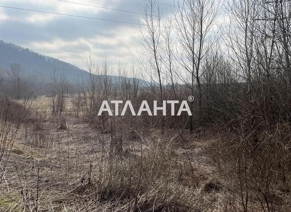 Участок по адресу (площадь 30 сот) - Atlanta.ua - фото 5