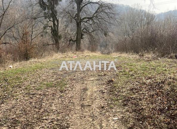 Участок по адресу (площадь 30 сот) - Atlanta.ua - фото 7