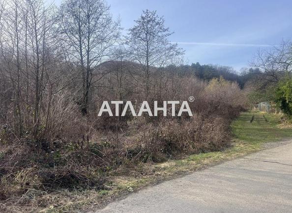 Участок по адресу (площадь 10 сот) - Atlanta.ua