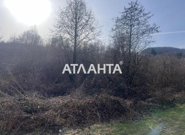 Участок по адресу (площадь 10 сот) - Atlanta.ua - фото 4