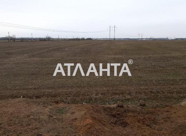 Landplot by the address (area 360 acr) - Atlanta.ua - photo 4