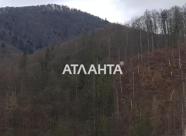 Дом по адресу ул. Садовая (площадь 76 м²) - Atlanta.ua - фото 4