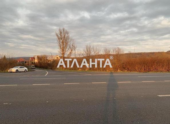 Участок по адресу (площадь 50 сот) - Atlanta.ua - фото 4