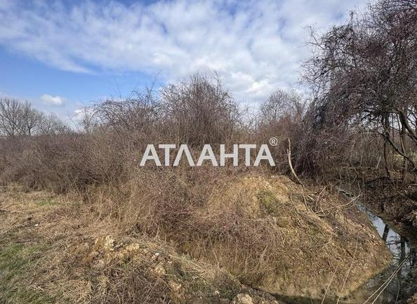 Участок по адресу (площадь 50 сот) - Atlanta.ua - фото 6