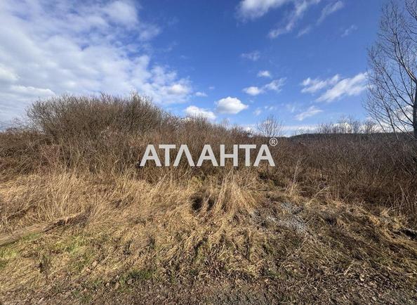 Участок по адресу (площадь 50 сот) - Atlanta.ua - фото 13