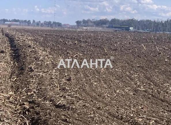 Участок по адресу ул. Грушевского (площадь 193 сот) - Atlanta.ua - фото 2