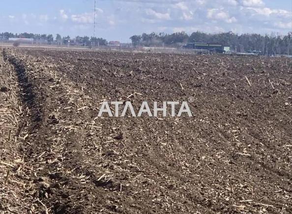 Участок по адресу ул. Грушевского (площадь 193 сот) - Atlanta.ua - фото 5
