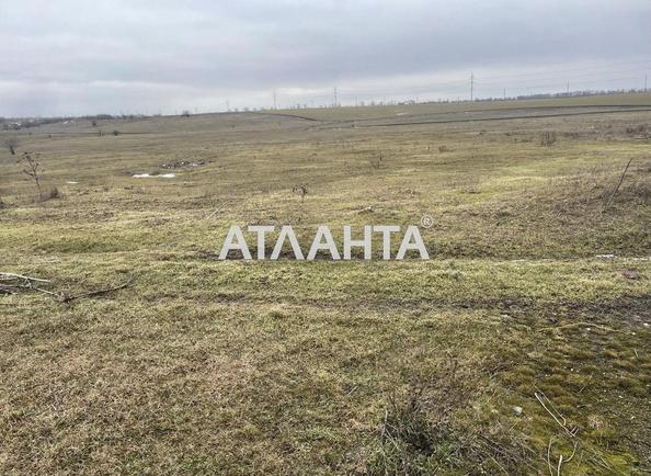 Участок (площадь 15 сот) - Atlanta.ua - фото 3